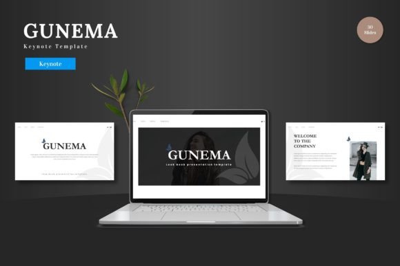 Gunema - Keynote Template: A Strategic Tool for Effective Presentation